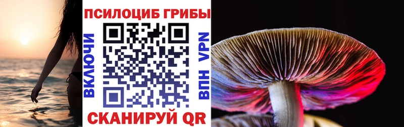 Псилоцибиновые грибы мухоморы  Всеволожск 
