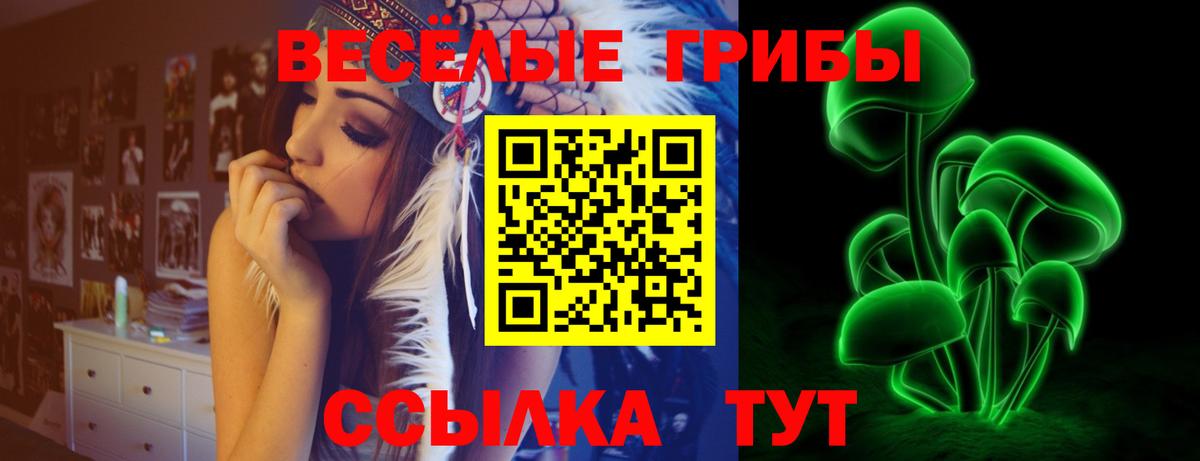 Всеволожск  Галлюциногенные грибы мицелий  Вход с VPN 